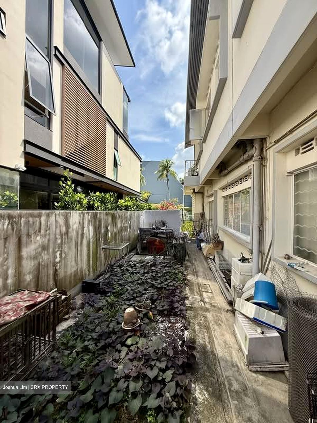 Watten View (D11), Semi-Detached #537800381